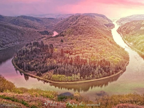 Das Bild präsentiert eine weite Landschaft aus der Vogelperspektive, wobei eine markante Flussschleife den Mittelpunkt bildet. Der Fluss windet sich fast kreisförmig durch dicht bewaldete Hügel und spiegelt das sanfte Licht wider, was ihm einen spiegelähnlichen Effekt verleiht. Die Hügel sind von einem dichten Blätterdach aus verschiedenen Grüntönen bedeckt, wobei einige Bereiche dunkler erscheinen, was auf Schatten oder unterschiedliche Vegetation hinweisen könnte. Das gesamte Bild ist in sanfte, warme Farben getaucht. Der Himmel im Hintergrund zeigt einen Übergang von einem hellen Gelbton zu einem zarten Violett, was auf das Licht der aufgehenden oder untergehenden Sonne hindeutet, die die rechte Seite der Flussschleife stärker beleuchtet. Im Vordergrund sind Teile von Büschen oder niedrigen Pflanzen in braunen und grünen Farbtönen zu sehen, was auf eine Übergangsjahreszeit hindeutet. Am unteren Bildrand befindet sich der Text "Floki - Enjoy the moment" in kursiver Schrift, der dem Bild eine persönliche Note verleiht. Das Bild vermittelt ein Gefühl von Ruhe und Frieden, wobei die weite Landschaft und die sanften Farben zum Verweilen und Genießen des Moments einladen. Die Vogelperspektive ermöglicht einen umfassenden Blick auf die Schönheit der Natur.