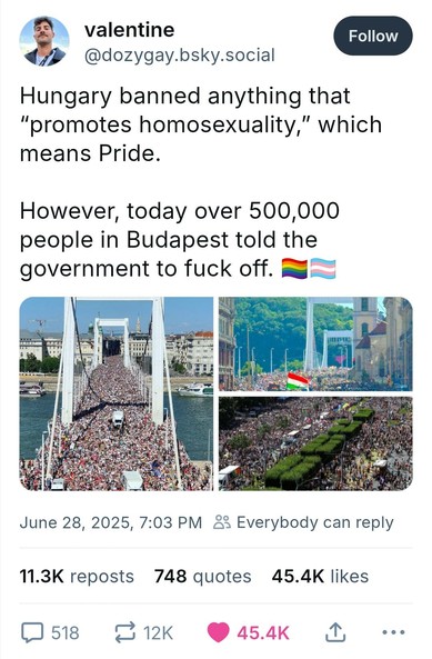 Images from air of HUGE crowds, post text:
Hungary banned anything that “promotes homosexuality,” which means Pride. 

However, today over 500,000 people in Budapest told the government to fuck off. 🏳️‍🌈🏳️‍⚧️
By @dozygay.bsky.social