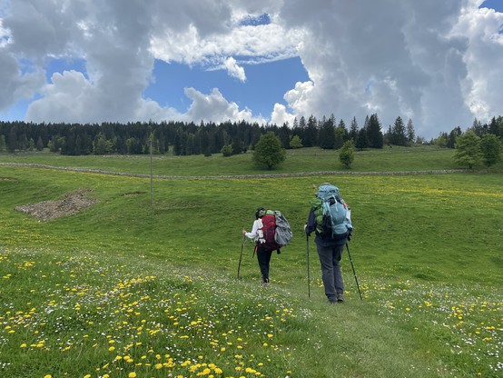Randonnée dans le Jura