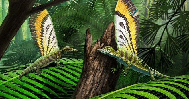 Grenoble. Un fossile vieux de 247 millions d’années au cœur d’une découverte paléontologique majeure