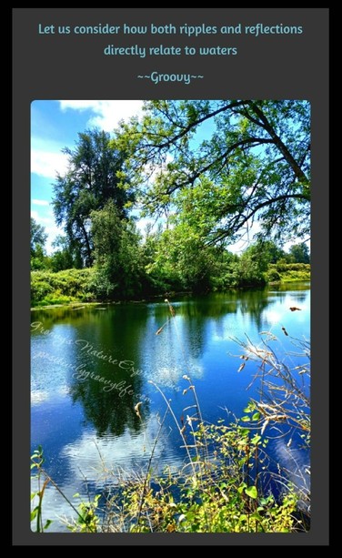 Ripples and Reflections