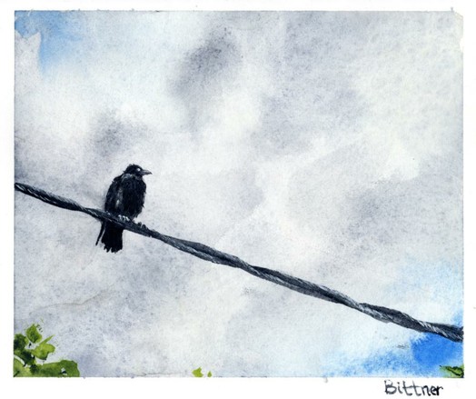 A crow on a power line viewed from below. The sky is overcast.