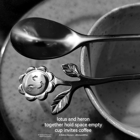 A black-and-white picture of an empty pottet cup placed on a fitting plate with two pieces of cutlery balanced on top - of one, the ladle of a spoon is visible, of the other, a sunflower shaped handle. Lots of different shades if grey. Additionally a haiku in white letters:

lotus and heron
together hold space empty
cup invites coffee

© Stefanie Neumann - @KokopelliBFree