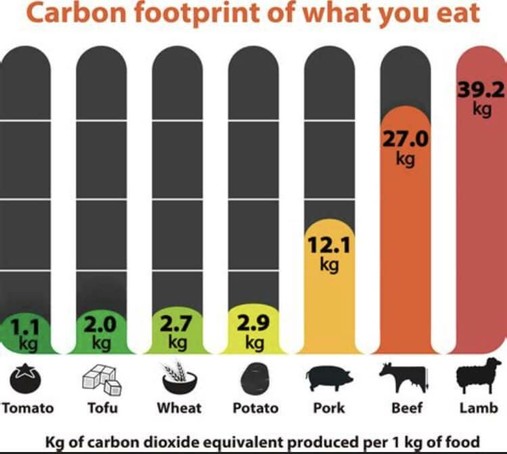 carbon footprint overview.
kg of carbon dioxide equivalents produced per 1kg of food
- tomato 1,1kg
- tofu 2 kg
-wheat 2,7 kg
- potato 2,9 kg
- pork 12,1 kg
- beef 27 kg
- lamb 39,2 kg