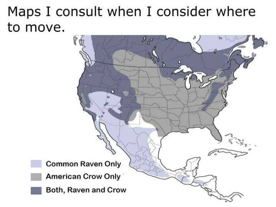 A map meme, titled "Maps I consult when I consider where to move" with the choices, Common Raven Only, American Crow Only, and Both Raven and Crow