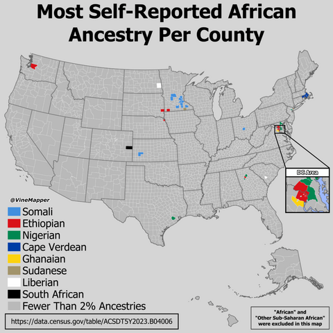 Die meisten selbst berichteten afrikanischen Vorfahren pro Landkreis
