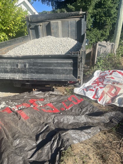 The image shows a small black dump truck with its bed raised, filled with white gravel. The truck is parked on a dirt surface, with a black tarp spread out in front of it, partially covered with gravel. The tarp has red text, although the full text is not entirely visible. To the right of the tarp, there is a white bag with red text, also partially obscured. The background includes a green bush, a white house, and tall trees, indicating a residential area. The scene is well-lit, suggesting it is daytime.