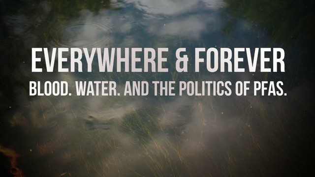 Everywhere & Forever: Blood. Water. And the Politics of PFAS. — How to watch