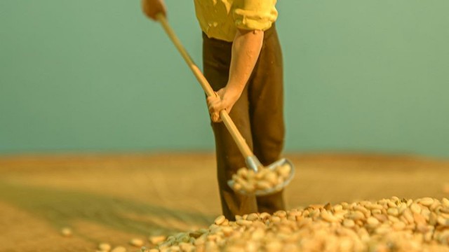 Person shoveling.
