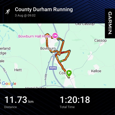 Garmin Activity showing a running route.