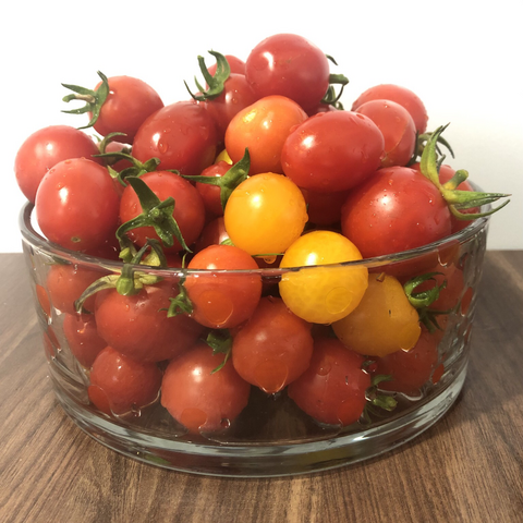 Eine gläserne Schale voller roter und gelber Tomaten aus eigenem Anbau. ￼