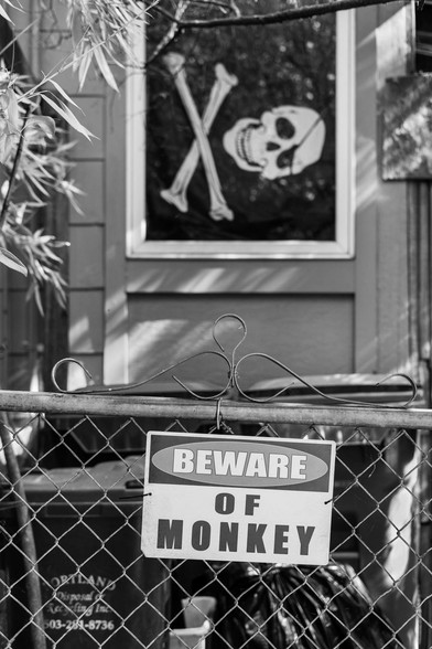 sign that says Beware of Monkey with pirate flag in the background