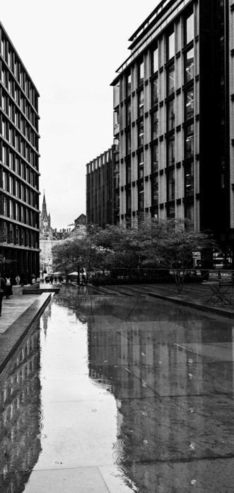 A black and white photo of a modern urban square on a rainy day. A long, rectangular reflecting pool fills the foreground, its surface rippled by raindrops and mirroring the surrounding architecture. Tall, multi-storey office buildings with many windows line both sides of the square. In the distance, a Gothic-style clock tower rises above a more ornate, older building. Trees with light-coloured foliage stand between the buildings, and a few people with umbrellas can be seen walking in the background. The overall mood is quiet and reflective.