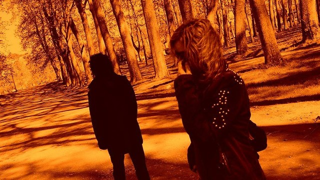 People walking alone in forest.