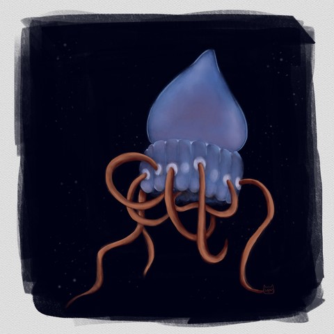 A digital painting of a jellyfish, with blue body looking like a hat, and light brown-orange tentacles that looks like noodles. Background is dark blue.