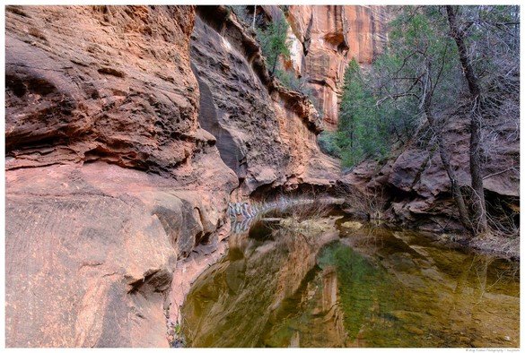 Clear creek reflecting tall red rock canyon walls and green pine trees, surrounded by rugged rock formations and bare branches, in a narrow section of West Fork Oak Creek Canyon, Sedona, Arizona.