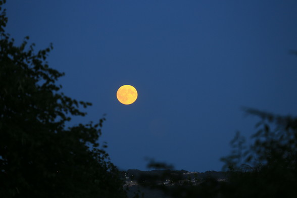 A full moon that looks a bit orange. There are trees in the foreground and buildings in the distance.