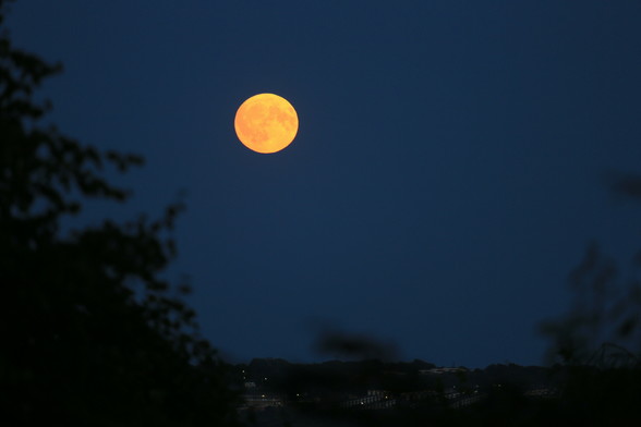 A full moon that looks a bit orange. There are trees in the foreground and buildings in the distance.