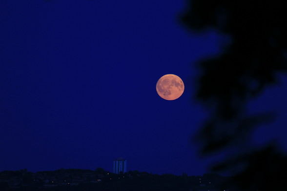 A full moon that looks a bit orange. There are trees in the foreground.