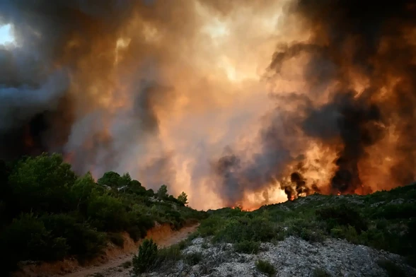 A forest is engulfed in flames.