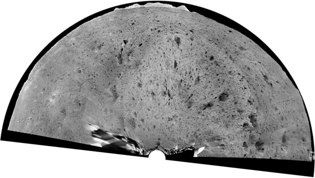 The same panorama is projected to make the foreground more map-like. The process makes horizon features look higher than they really are, which can help subtle features show up more clearly.  The lander touched down on the southern rim of a 50 m diameter subdued crater which is difficult to see, so in this view I have exaggerated its appearance a bit.