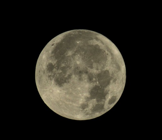 A detailed shot of the full moon showing craters and valleys, taken this morning