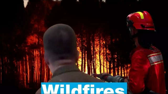 Heatwaves and wildfires: Europe battered by the consequences of global warming • FRANCE 24 English