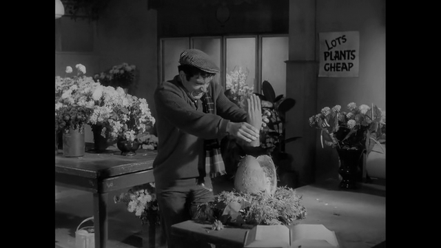 Seymour feeding Audrey Jr. a hand.