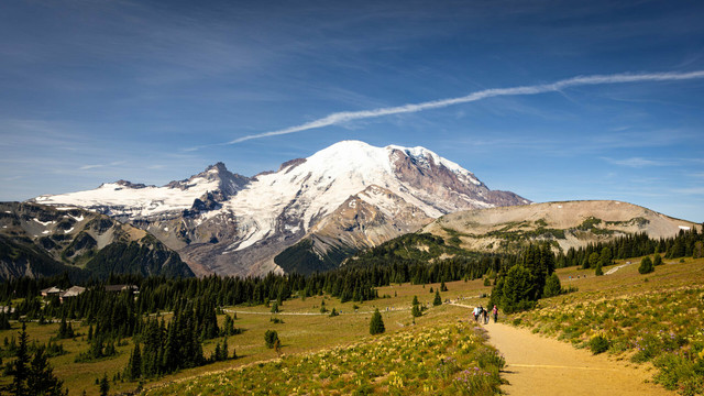A walking path with hikers lined by wildflowers heading towards a beautiful snow-capped mountain.