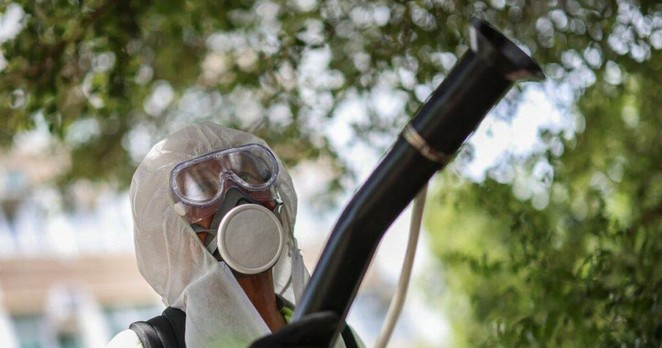 Chikungunya près de Marseille : avec 23 cas autochtones, un «début d’épidémie» surveillé avec attention - Le Figaro