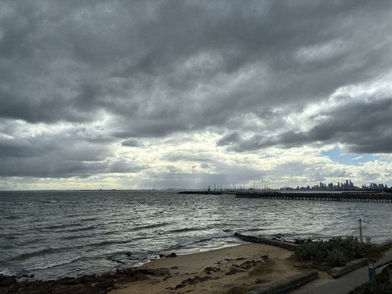 view of a bay under dark grey clouds, with a city skyline in the distance