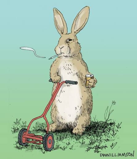 A rabbit with a push lawnmower with beer and cigarette