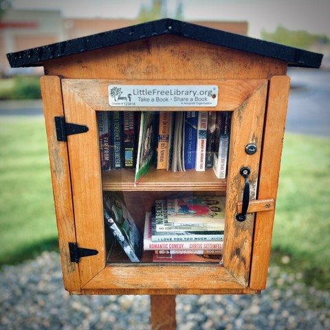 A Little Free Library, the size of a large wooden birdhouse, stands with its closed clear glass door revealing numerous books stacked inside.