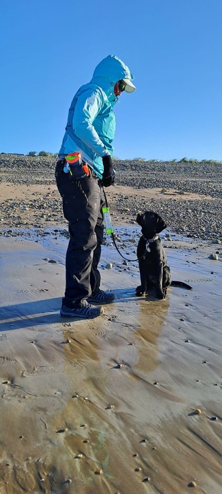 This is me and Quintin the 17 week old black labrador pup in training for Irish Guide Dogs. We're at a windswept beach. Quintin is sat to the right in the picture on his lead looking at me for the next cue. 

Despite the gorgeous sunshine there's a bitter wind so I'm well wrapped up in a blue wax jacket and my training gear (some cheap work trousers and his treat bag). The sun is low because it's early, so we cast long shadows.

The beach is a mixture of wet flat sections of sand and medium sized well rounded pebbles.

The 'flash' on his lead can clearly be seen. This is one of his guide dog in training tags which is high viz neon green. On it there's the Irish Guide Dogs logo and a warning not to distract the puppy in training.

Easier said than done really, at his age most people want to lean in for a cuddle.