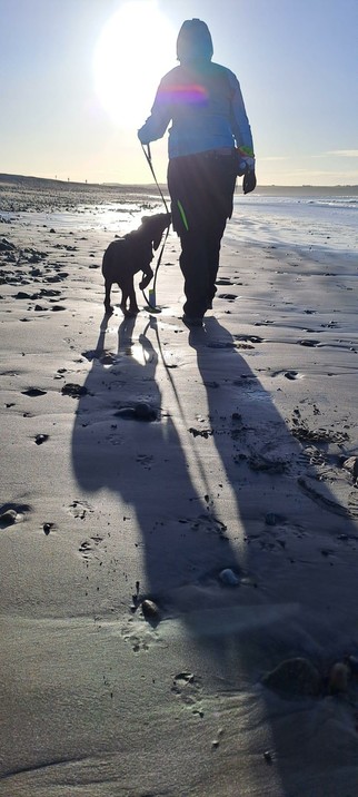 Another one of me and Quintin (17 week old black labrador pup) with the sun in front of us as we walk away from camera. It silhouettes and creates long shadows on the beach sand behind us. The picture is in portrait.

Quintin is excitable jumpy and grabs the lead throughout the walk.