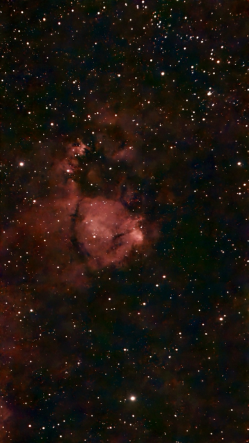 IC 1795 The Fish-head Nebula - 4K processed image.  Despite being just a "tip" of the larger Heart Nebula (IC 1805), the Fish-head Nebula's brightest part (NGC 896) was actually discovered first!