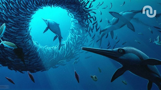 Ce fossile de dragon-épée découvert au Royaume-Uni est peut-être la clé du grand mystère de l'évolution des dinosaures marins