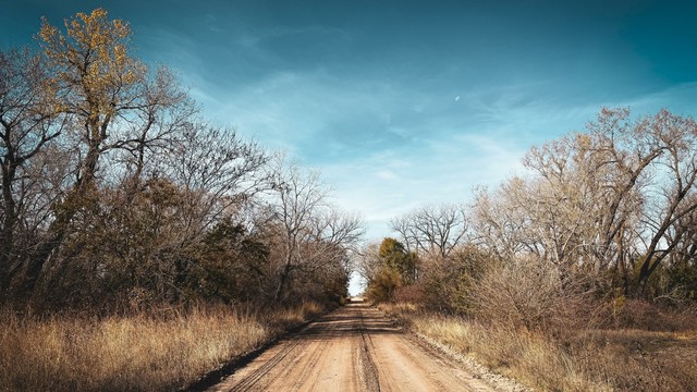 a straight dirt road cuts between trees with a grey sky in the background