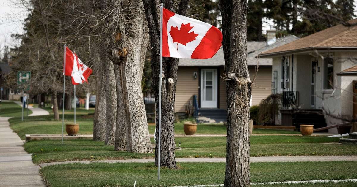 Canadian flags line a street in High River, Alta., Wednesday, May 7, 2025. THE CANADIAN PRESS/Jeff McIntosh
