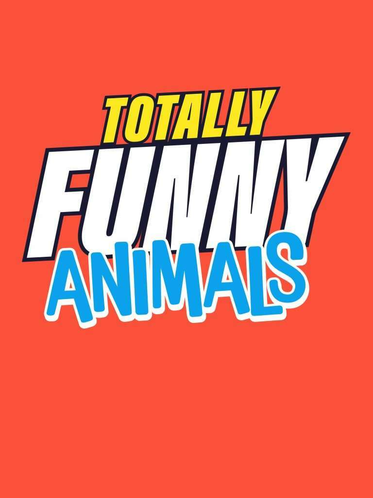 Totally Funny Animals “Top 10 Aerial Attacks” S1E28 July 25 2025 on PIX