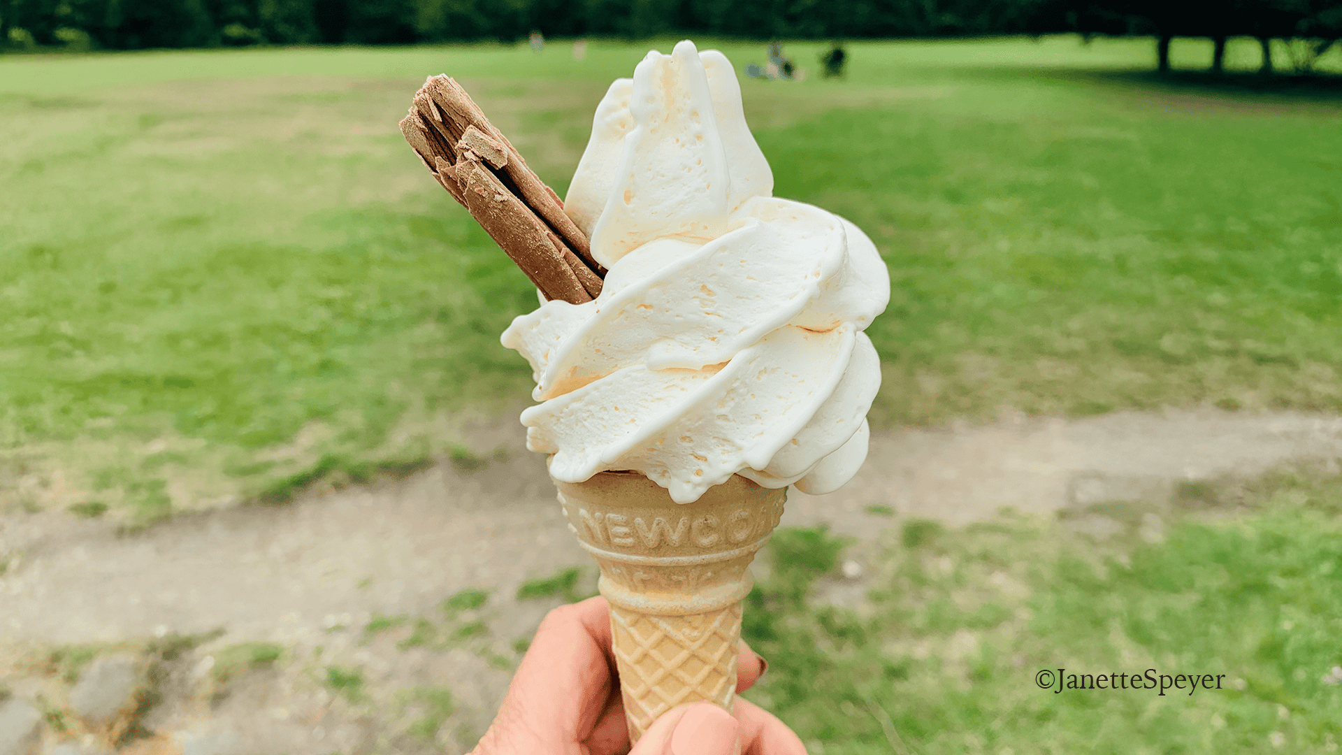 Smooth Classic Vanilla Ice Cream