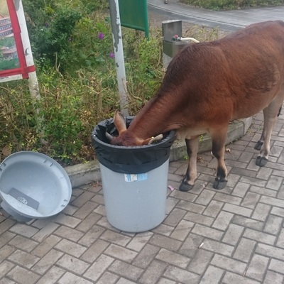 xfranky@ioc.exchange