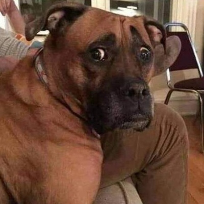 privacy@ioc.exchange