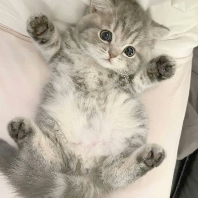 thweathuntur@ioc.exchange