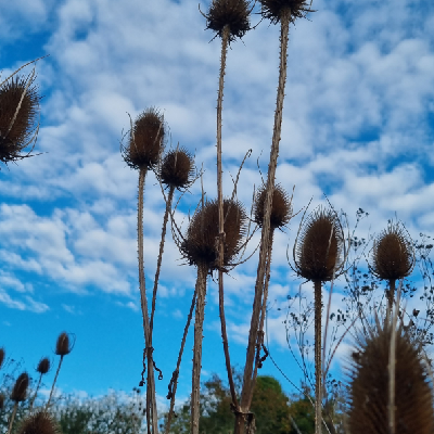 annehargreaves@ioc.exchange