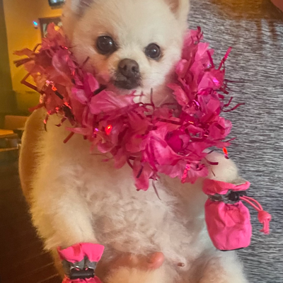 cynthia@ioc.exchange