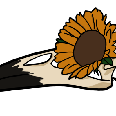 Byrdbrnz@ioc.exchange