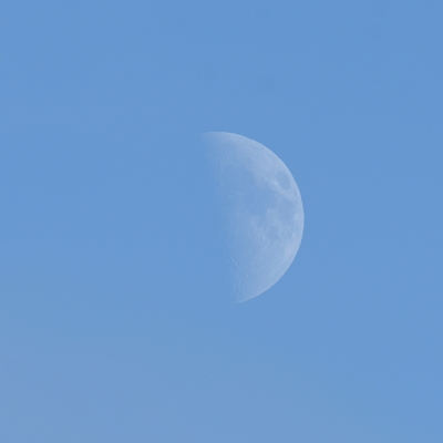 spanghero@ioc.exchange