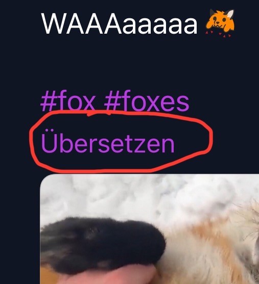 Screenshot with a translate link for the fox sounds. (Didn‘t work)