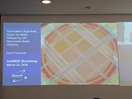 Slide titled "automated large area argon ion beam delayers with nanometer scale planarity"